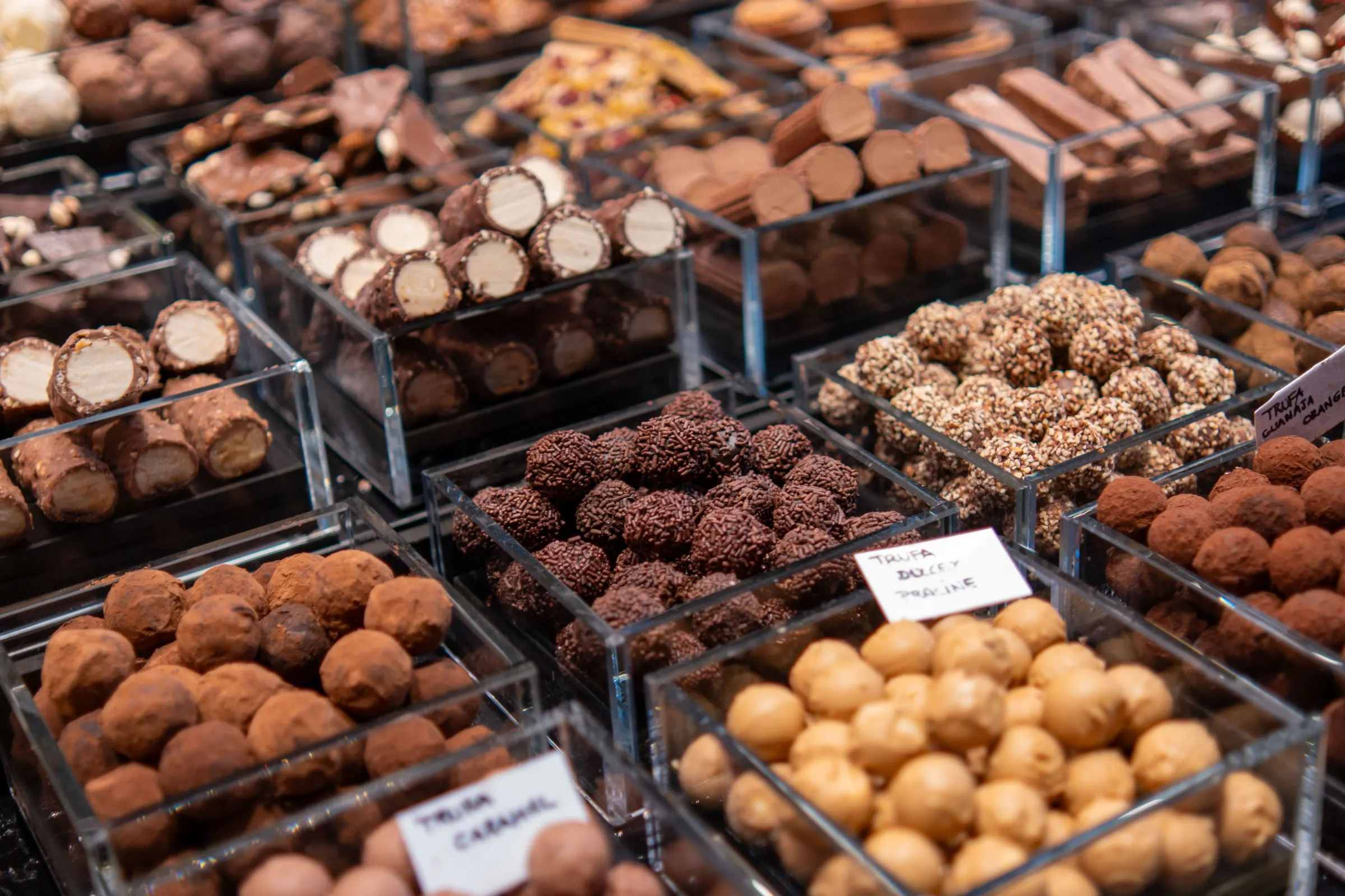 Trays of pralines and chocolate truffles
